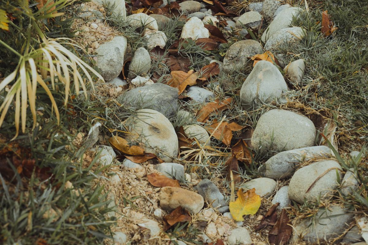 River cobble and grasses laid through the bed of a dry creek