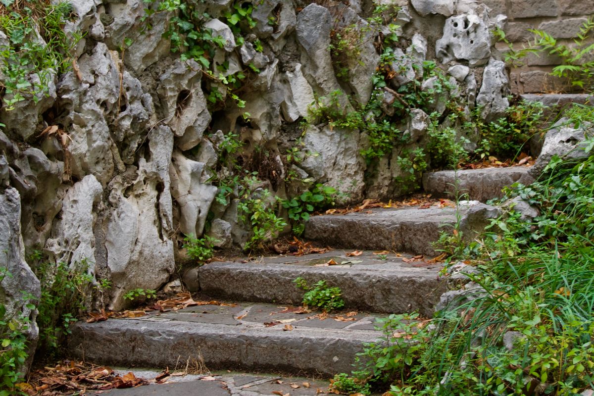Dry stacked stone steps climbing a planted terrace