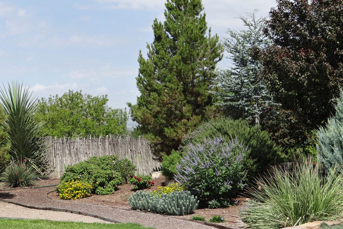 Native beds of salvia and grasses in gravel mulch along a weathered cedar fence