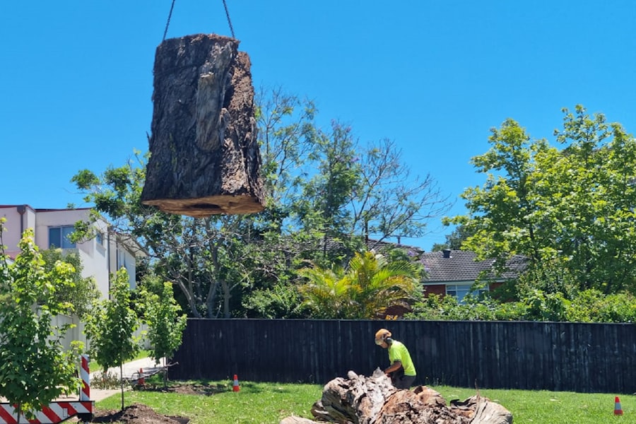 Crane lifting a cut trunk section clear of a back garden while a groundsman works the logs below
