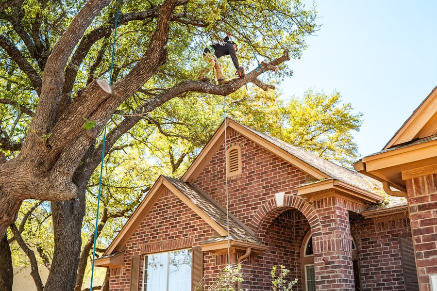 Climber roped out along a limb above a brick roofline, taking the limb off in pieces